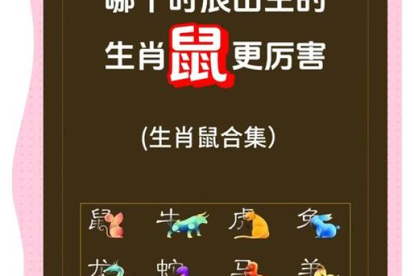 鼠的儿子是什么生肖 鼠爸爸和牛妈妈生什么宝宝