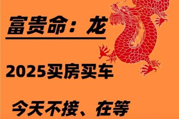 2025年属龙人的财运走势如何，有哪些月份需要特别注意？