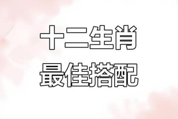 郎才女貌”是什么生肖动物 郎才女貌最佳生肖配对查询