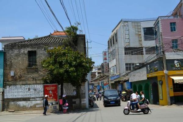 道道地地什么生肖 生肖道地含义解析