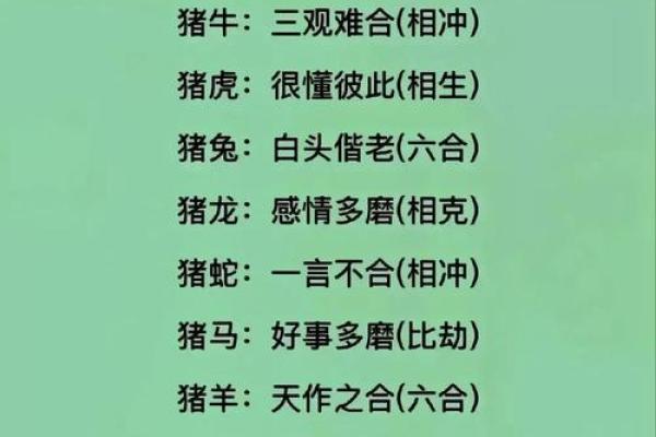 随意一瞥是什么生肖 随意一瞥指什么动物