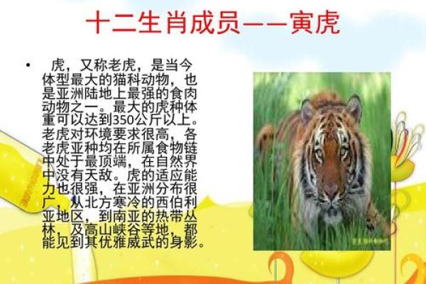 阴阳两面”打一准确生肖 阴阳两面性格的生肖是哪个