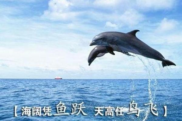 鱼跃鸟飞”是代表哪个生肖 鱼跃鸟飞对应什么生肖