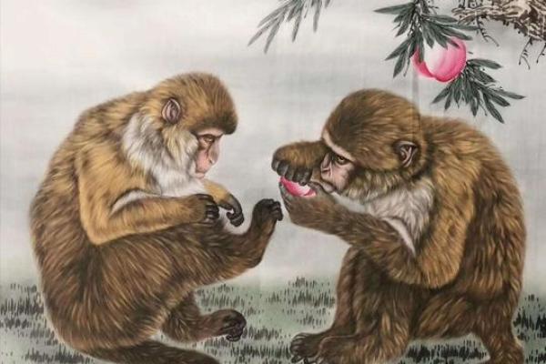进退两难打一个生肖 进退两难指什么生肖动物