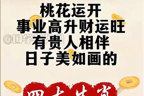锦上添花是什么生肖 锦上添花对应生肖是哪个
