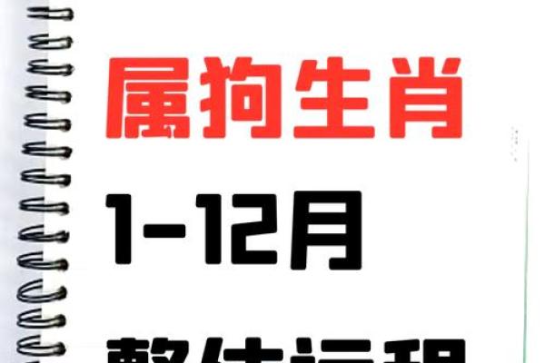 2025年属狗人穿什么颜色的衣服能提升运势