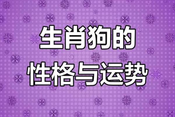 2024年属狗人全年运势详解，财运事业健康感情完整解析