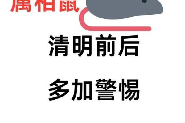 首鼠两端”打一准确动物生肖 首鼠两端谜底生肖解析