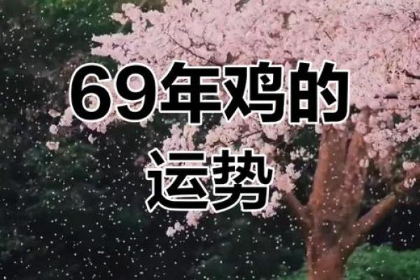 1969年出生属鸡女2025年逐月运势预测与得把眼睛擦亮了