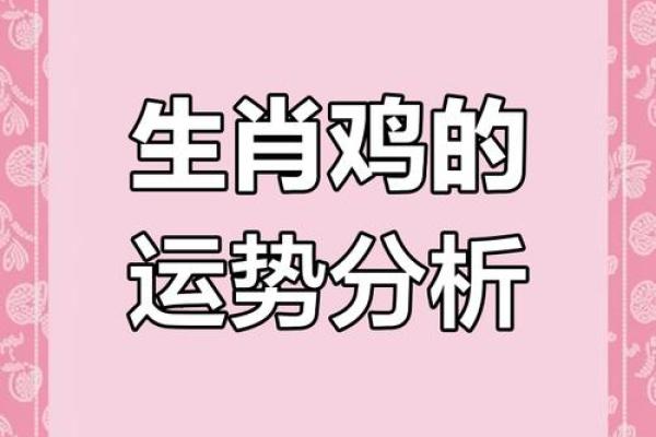 1993年12月属鸡的人一生命运如何及性格特点分析