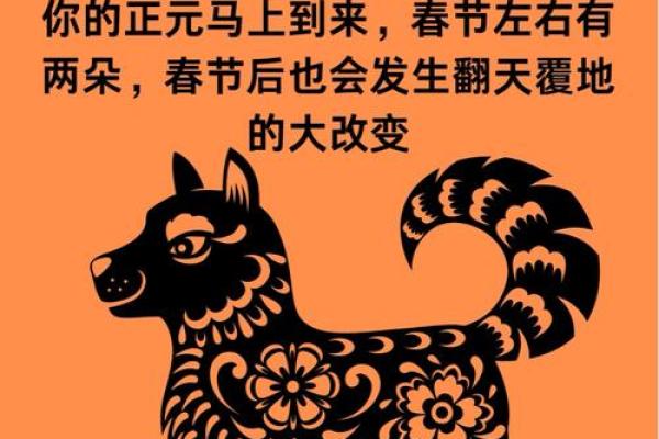 2006年出生的属狗人2025年运势如何，本命年需要注意什么事项？