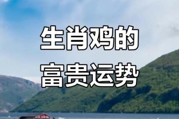 2025年属鸡人农历正月财运如何及投资建议详解