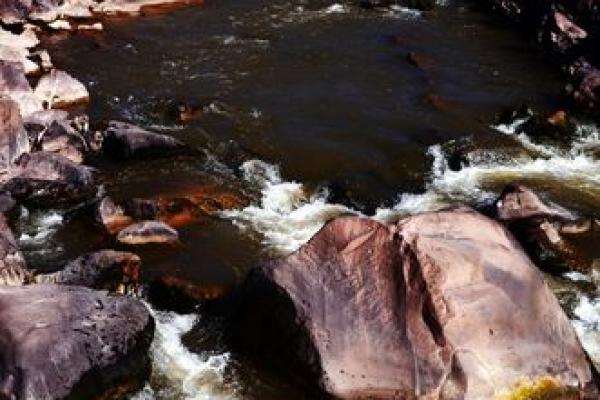 高山流水是什么生肖？ 高山流水打一生肖答案