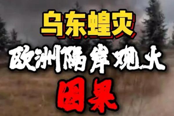 隔岸观火是什么生肖动物 隔岸观火对应生肖查询