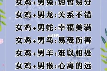70年属狗的最佳配偶属相是什么，婚姻配对详解