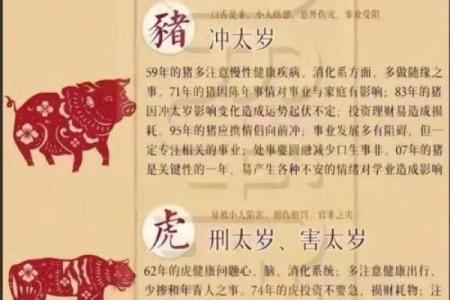 雁过留声打一最佳生肖 雁过留声最佳生肖是什么