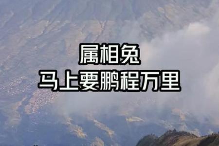 鹏程万里打一个生肖 鹏程万里代表什么生肖