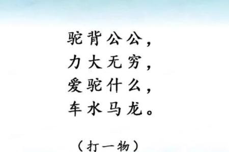 逗留不进猜一动物 谜语逗留不进打一动物