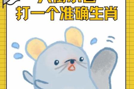 零七碎八是什么生肖 零七碎八生肖谜语解析