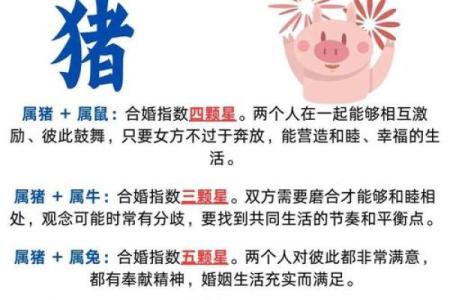 通观全局”打一准确动物生肖 通观全局的生肖是哪个