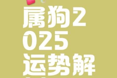 属狗女性2025年全年运势详解，事业财运健康感情全面解析