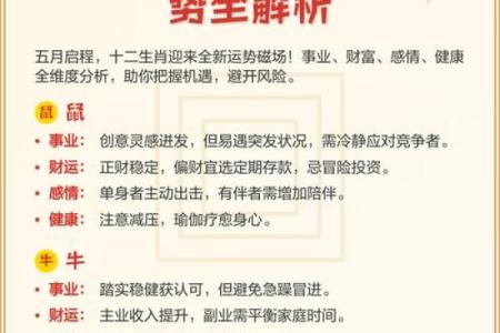 2025年属狗人财运如何？正财和偏财运势详细解析