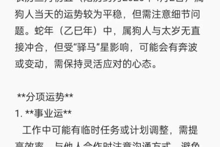属狗人今天运势详解：事业、感情和健康方面需要注意什么？