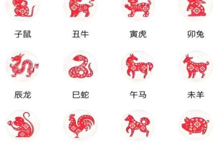 骂狗打鸡猪在笑”打一最佳准确生肖 骂狗打鸡猪在笑代表什么动物