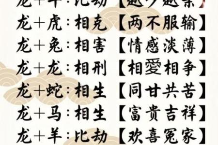 属马和属狗的婚姻配对怎么样？生肖配对解析与建议