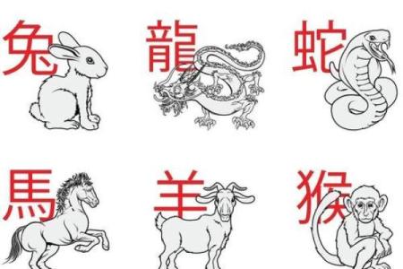 鼠肚鸡肠是什么生肖 鼠肚鸡肠对应哪个生肖