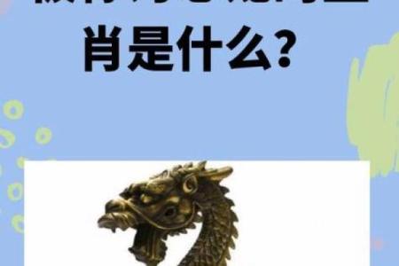 男兔女龙结婚真的合适吗？深入探讨两人性格与婚姻适配度