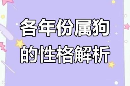 两个属狗的人结婚在性格和运势上是否相配，需要注意哪些方面？