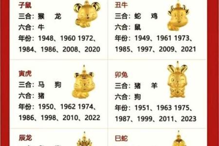 马马虎虎”打一正确的生肖 马马虎虎对应生肖是什么