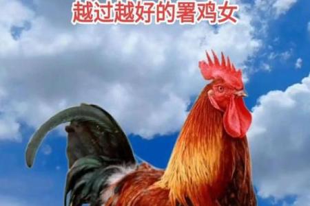 1969年属鸡男性晚年健康状况与养生方法全解析