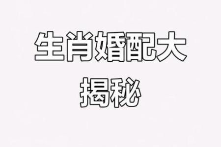 金玉良缘打一个生肖 金玉良缘生肖配对查询