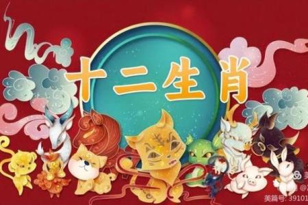 长生不死打一生肖 长生不死代表什么生肖