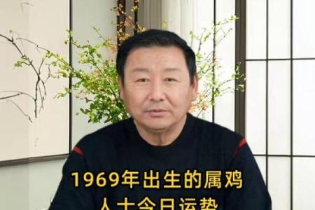 1969年属鸡男2024年每月运势详解及全年运程预测