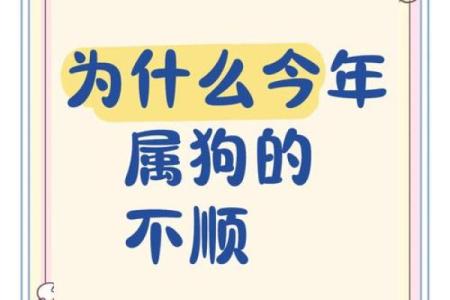 2024年属狗人的每月运程完整版，几月份要注意什么事项