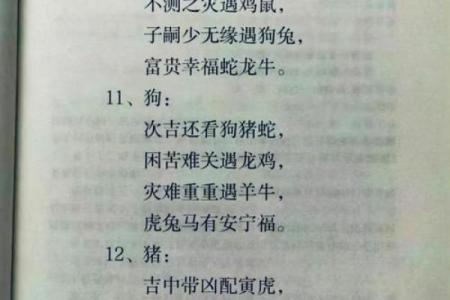 逍遥法外代表什么生肖 逍遥法外打一生肖