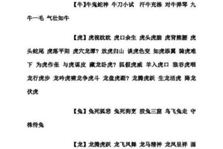 鼠肚鸡肠猜一生肖 鼠肚鸡肠指什么生肖动物
