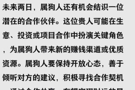 1982年属狗男2025年运势详解，婚姻感情会有转机吗