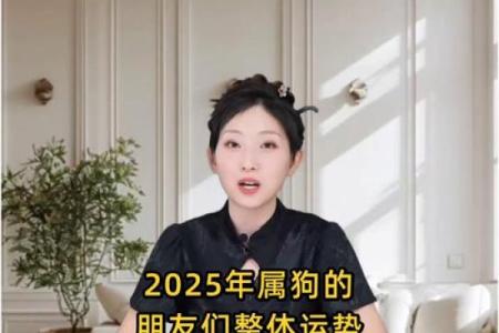 2025年属狗人的事业财运健康感情运势如何？有什么破解方法？