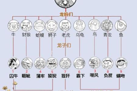 龙生九种是什么生肖 龙生九子对应生肖查询