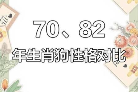 两个属狗的人婚姻配对会不会因为性格太相似而产生矛盾？