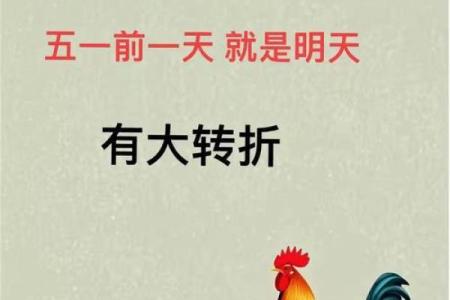 身经百战是什么生肖 身经百战打一生肖答案