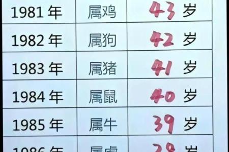 1981年属鸡的人今年虚岁和周岁分别多大了？