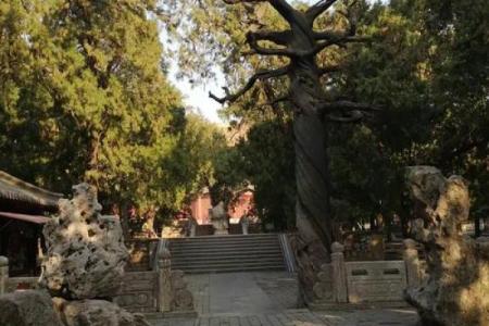锦绣河山打一个生肖 锦绣河山对应生肖是什么