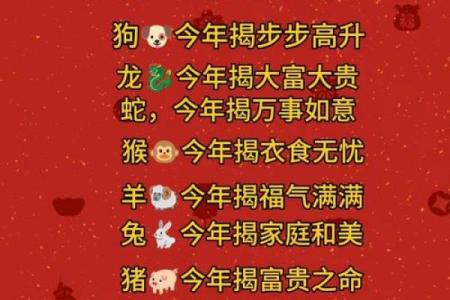 1981年出生的鸡在2024年龙年财运如何？正财偏财解析