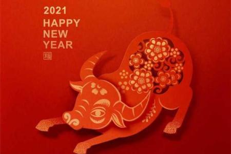 属鸡2005年出生的女生最适合的婚姻配偶属相是什么
