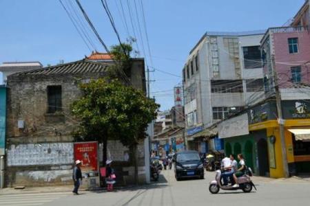 道道地地什么生肖 生肖道地含义解析